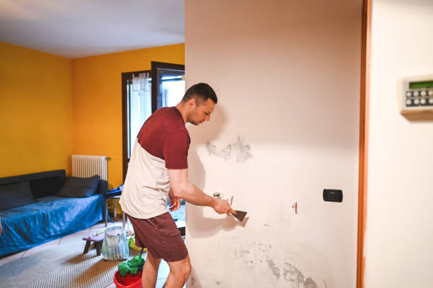 Best Local Mold Removal Service  in Fenton, MI