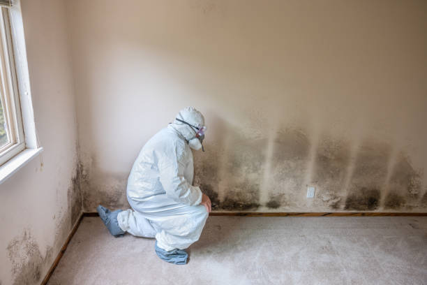 Best Mold Testing  in Fenton, MI